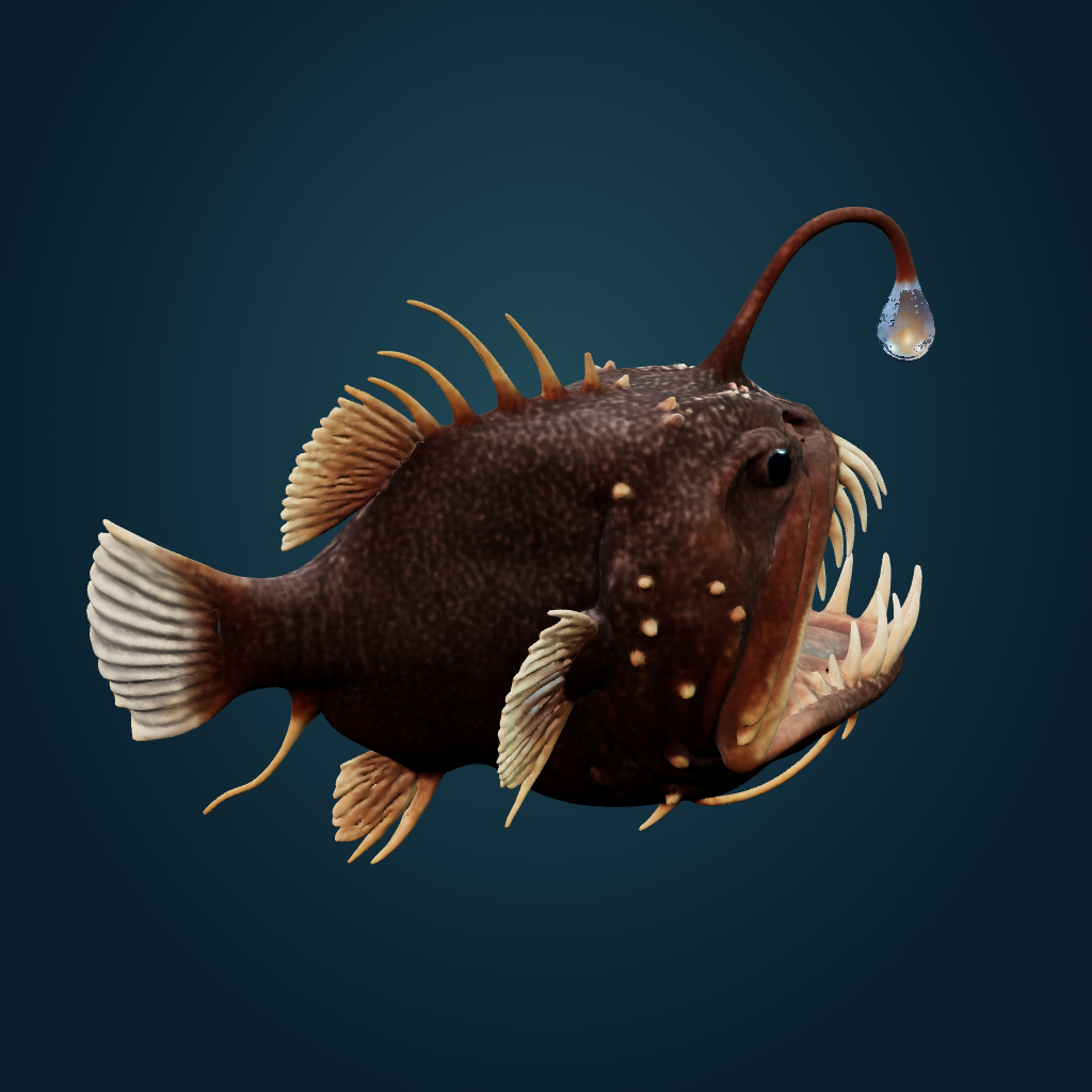 Rendered Anglerfish mesh