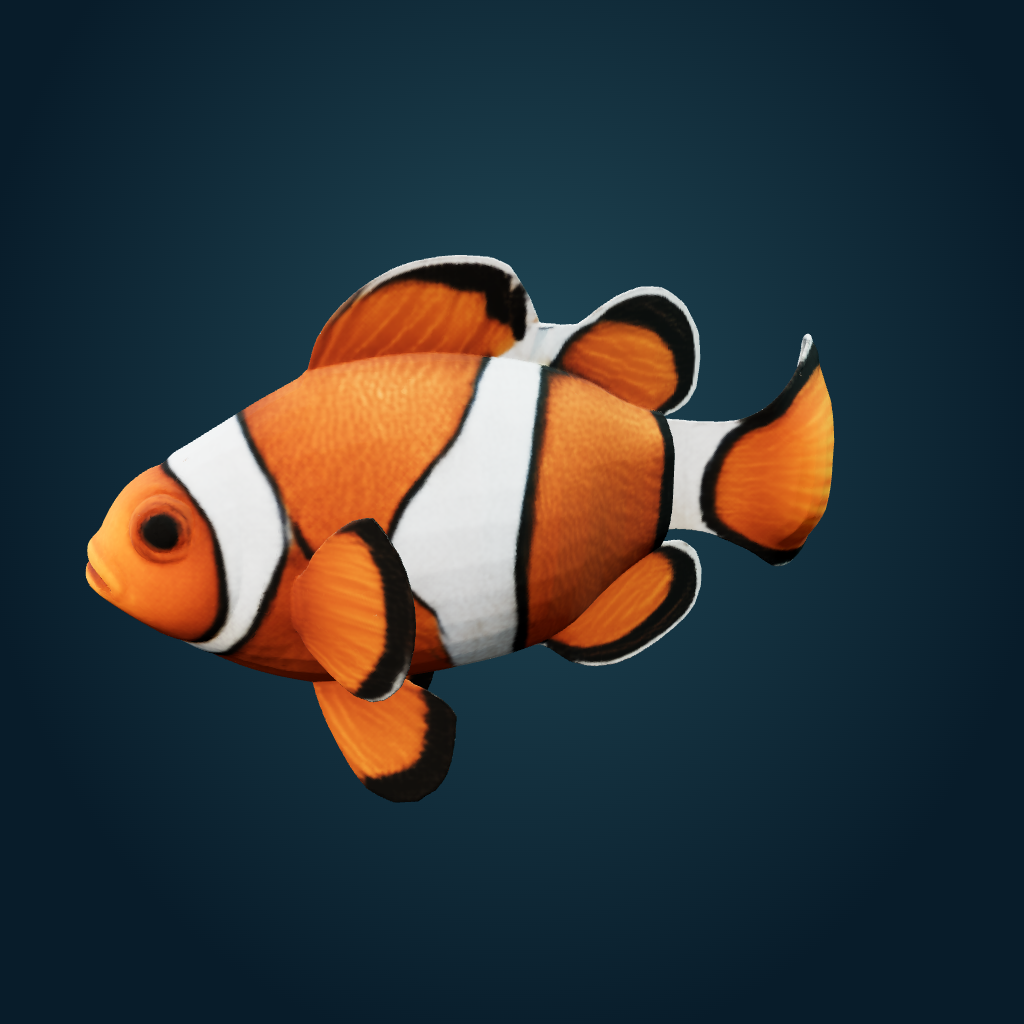 Rendered Clownfish mesh