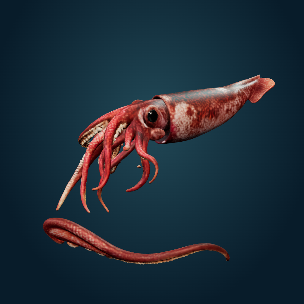 Rendered Giant Squid mesh