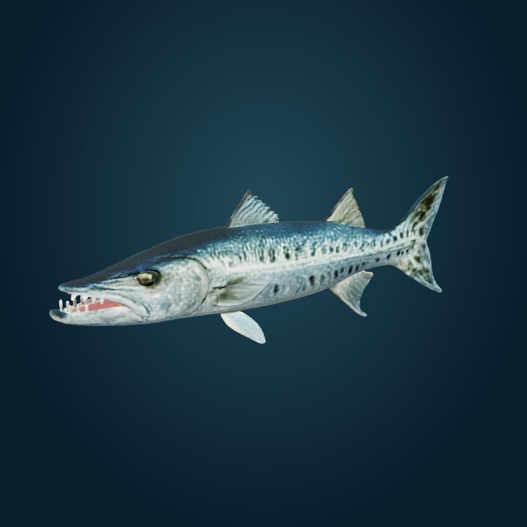 Rendered Great Barracuda mesh