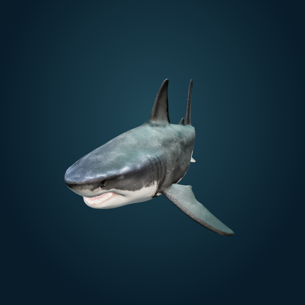 Rendered Great White Shark mesh