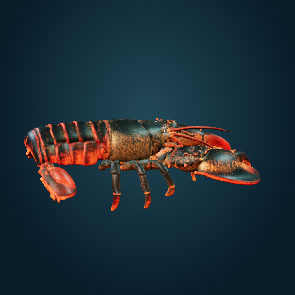 Rendered Lobster mesh