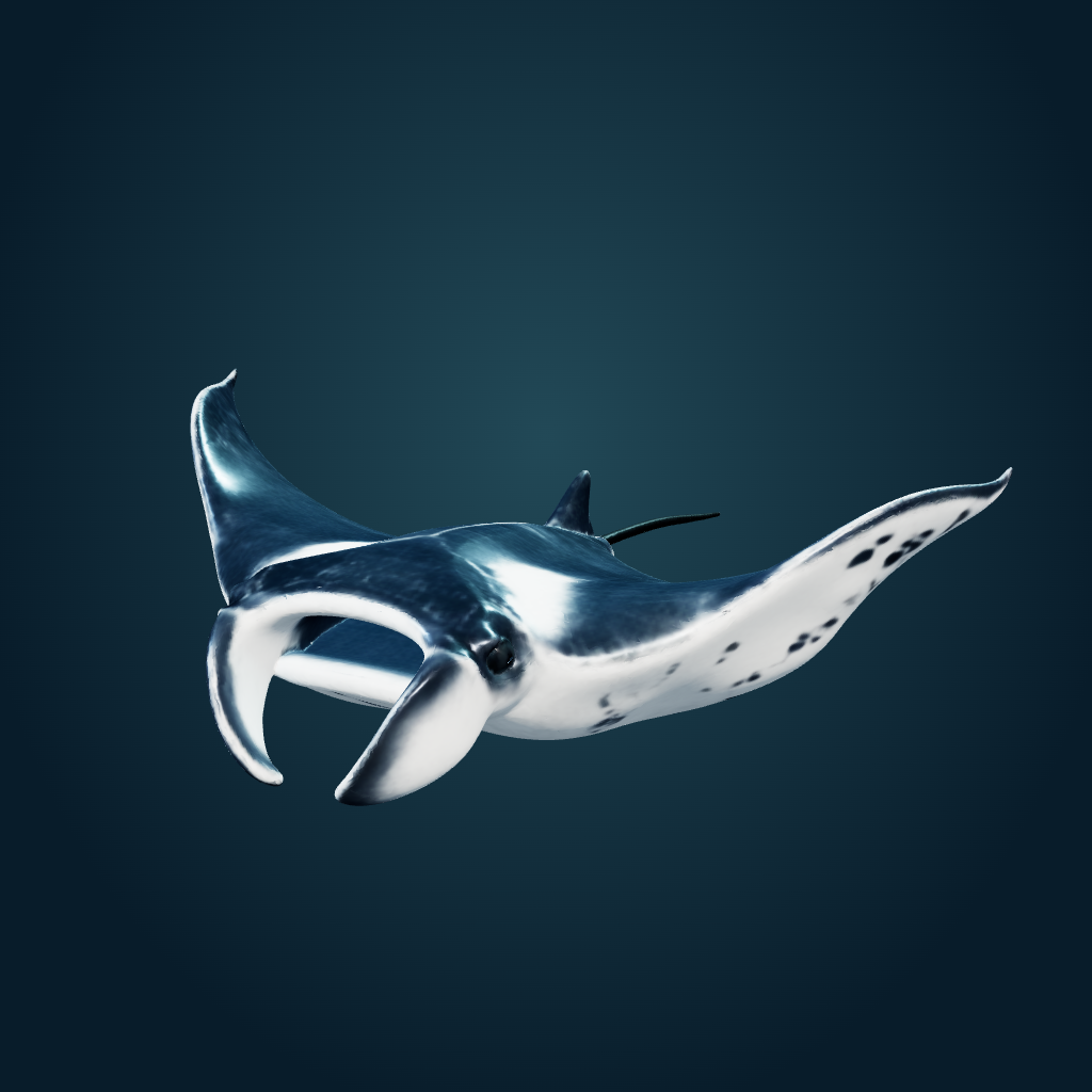 Rendered Manta Ray mesh
