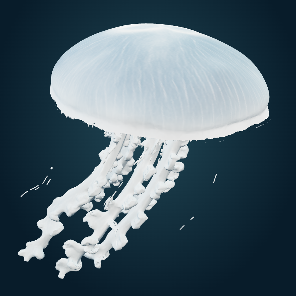 Rendered Moon Jellyfish mesh