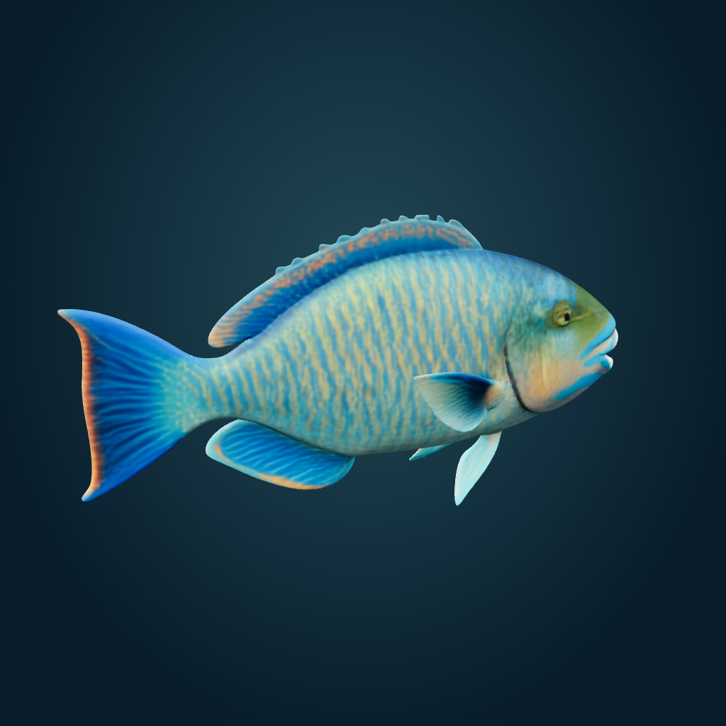 Rendered Parrotfish mesh