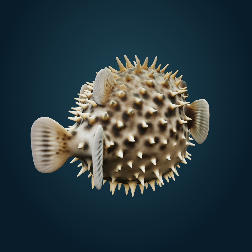 Rendered Pufferfish mesh