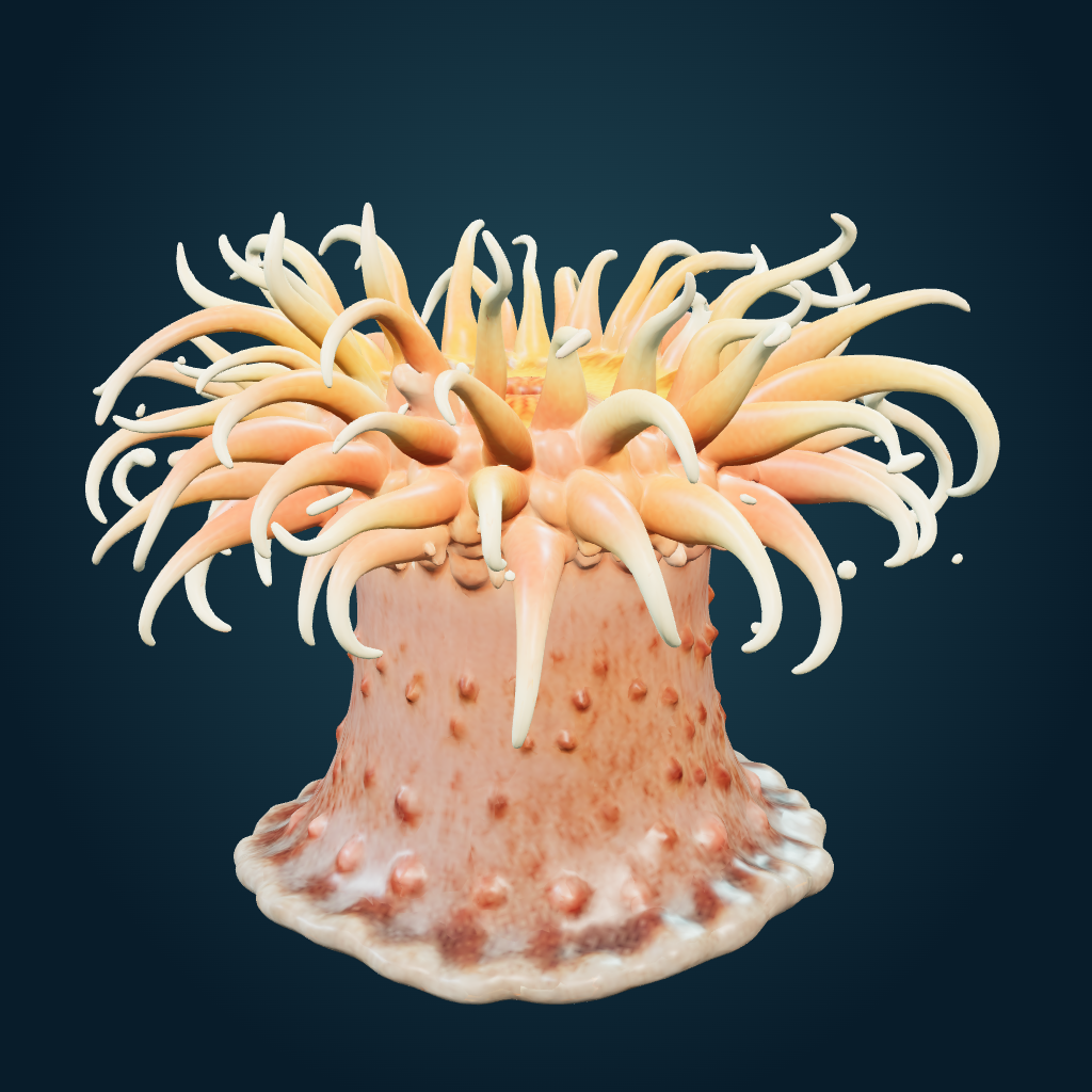 Rendered Sea Anemone mesh