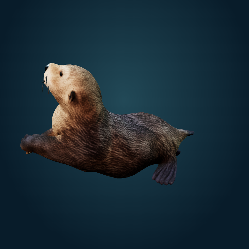 Rendered Sea Otter mesh