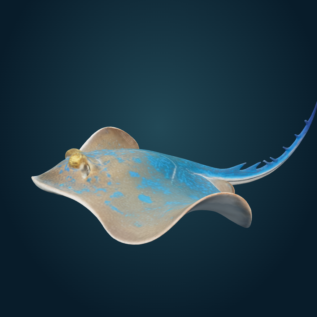 Rendered Stingray mesh