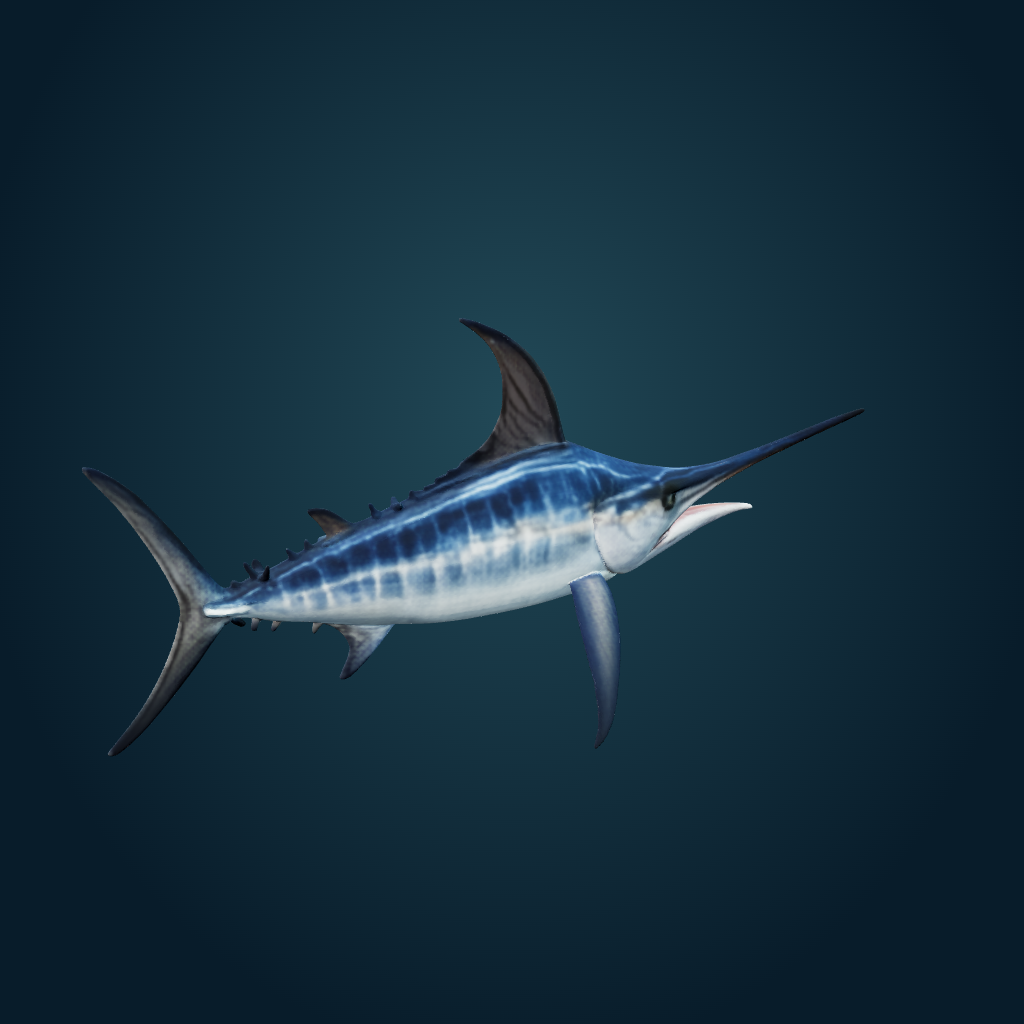 Rendered Swordfish mesh