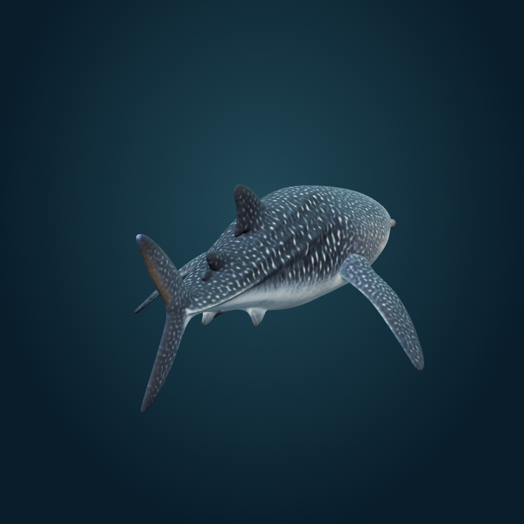 Rendered Whale Shark mesh