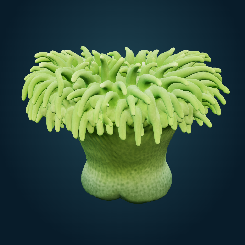 Rendered Green carpet anemone mesh