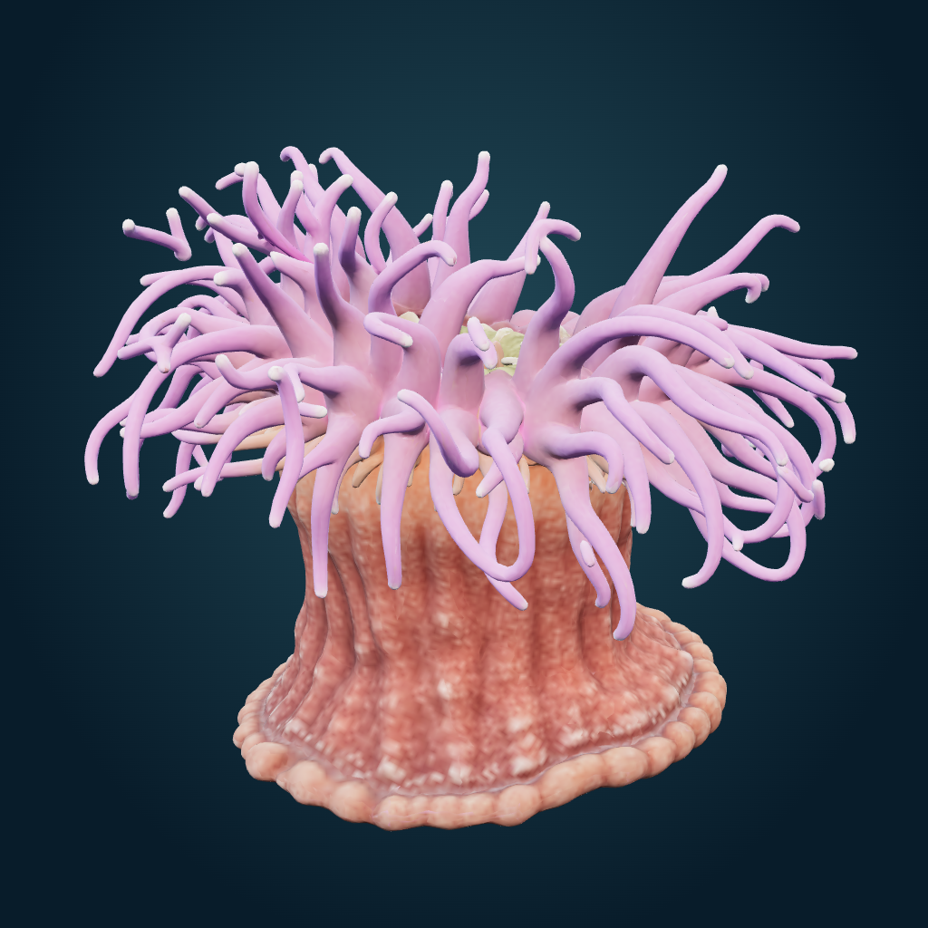 Rendered Violet long-tentacle anemone mesh