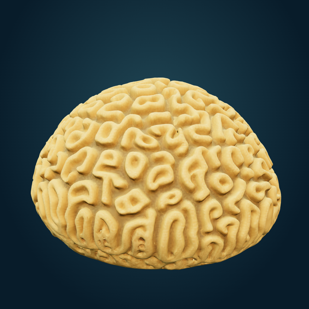 Rendered Honey-coloured brain coral mesh