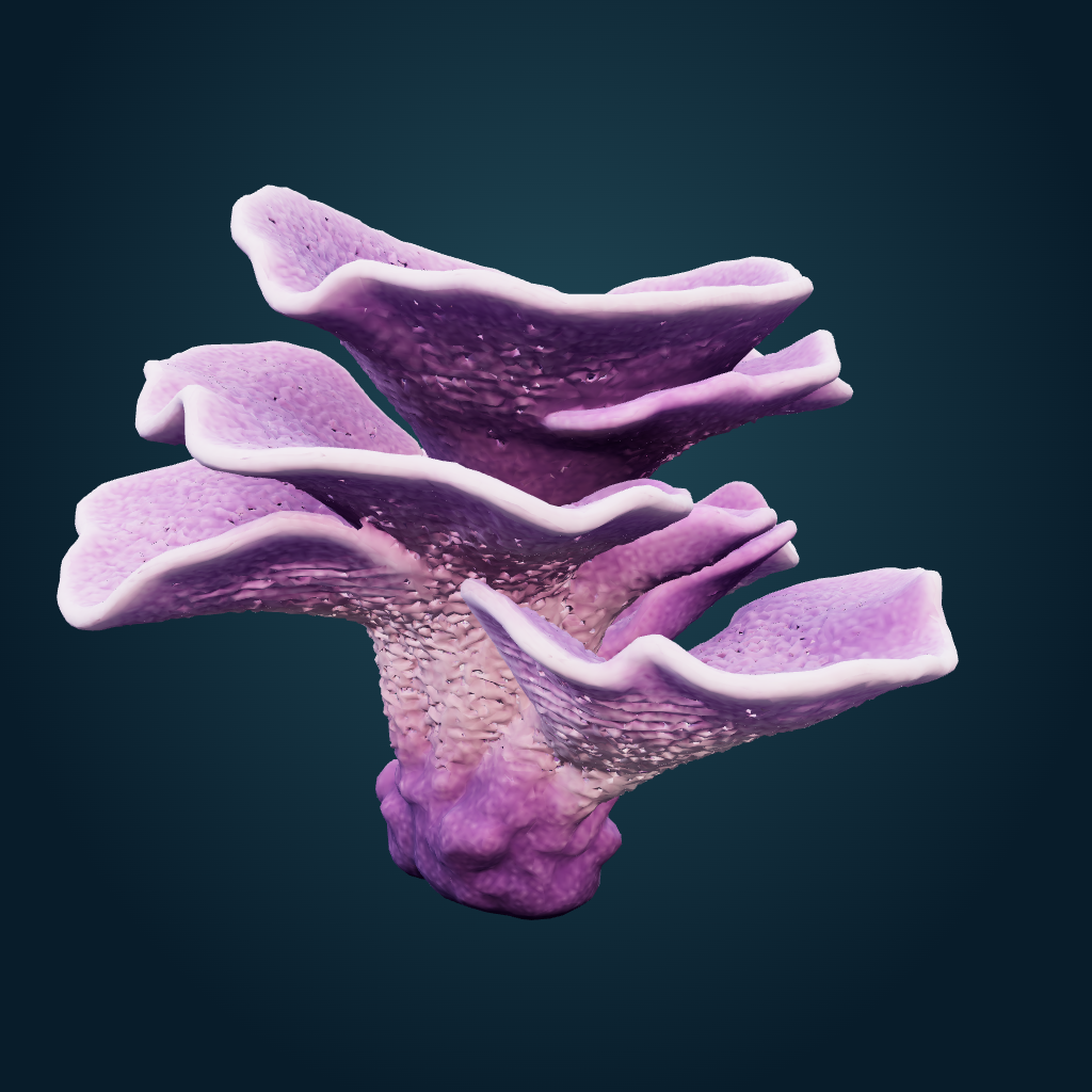 Rendered Purple plating coral mesh