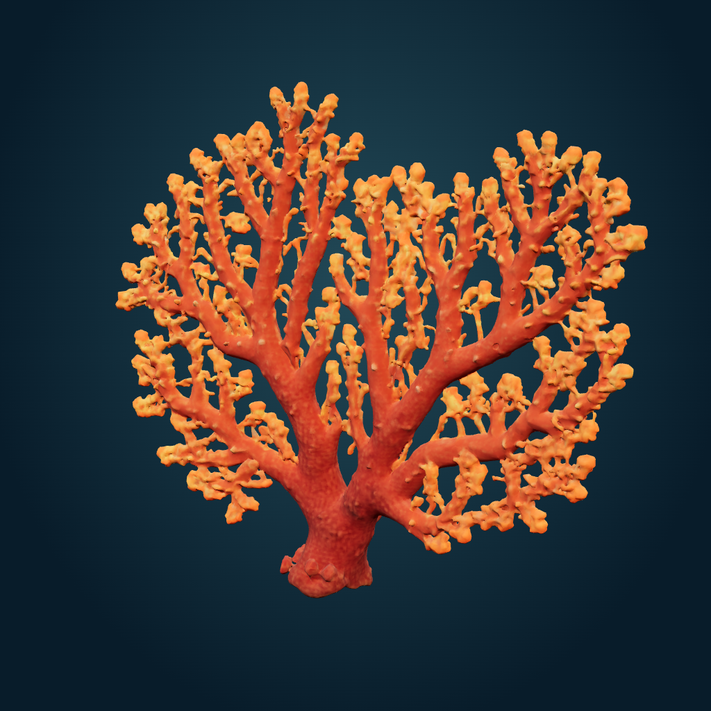 Rendered Red sea-fan coral mesh