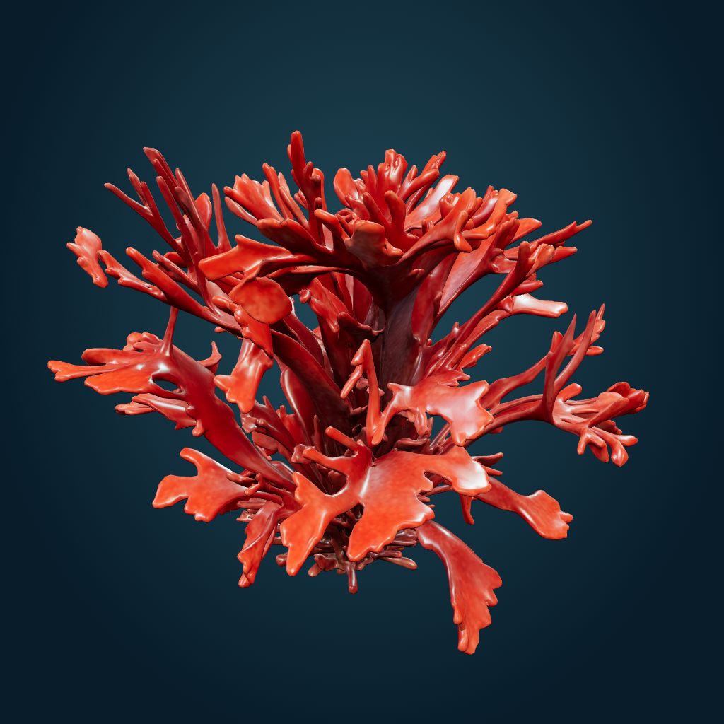 Rendered Red macroalgae bush mesh