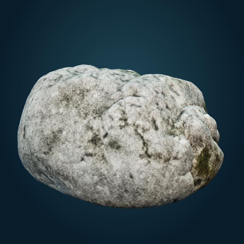 Rendered Algae-covered granite mesh