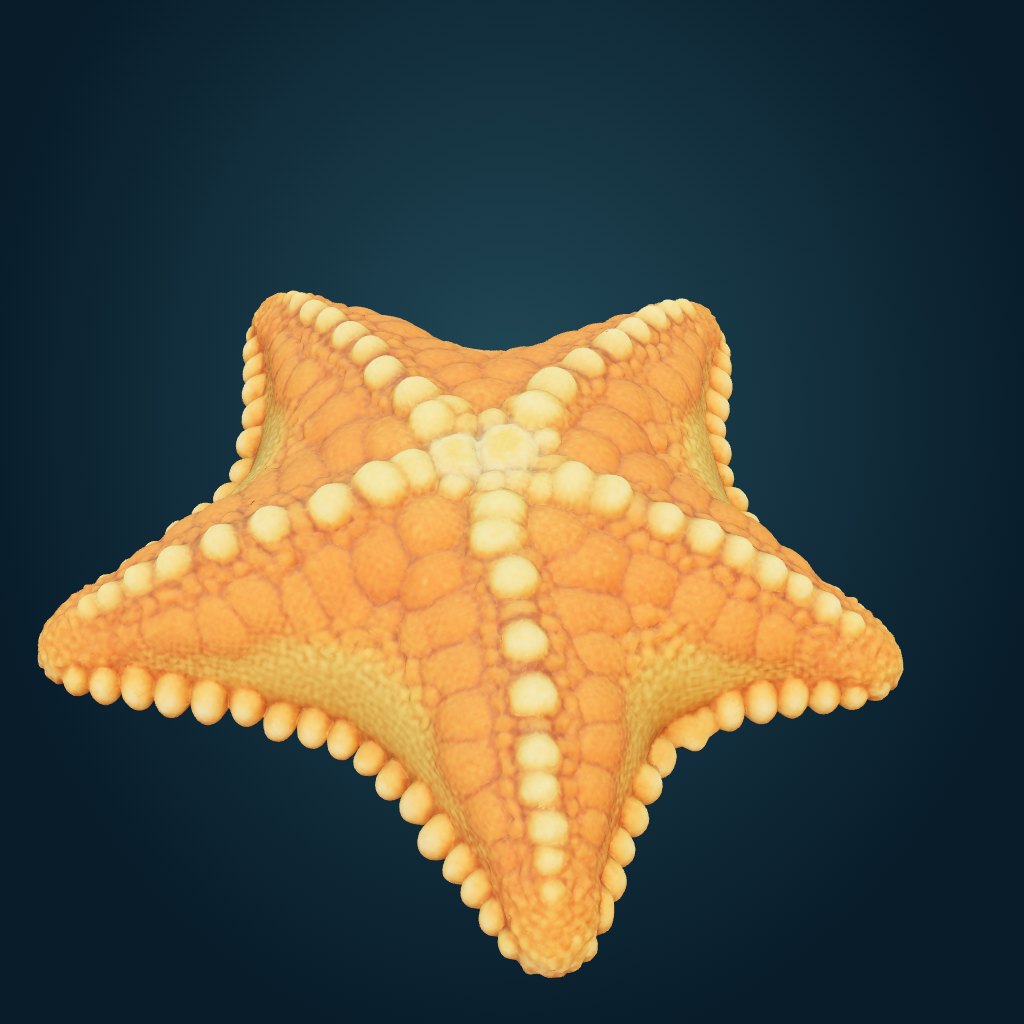Rendered Orange cushion sea star mesh