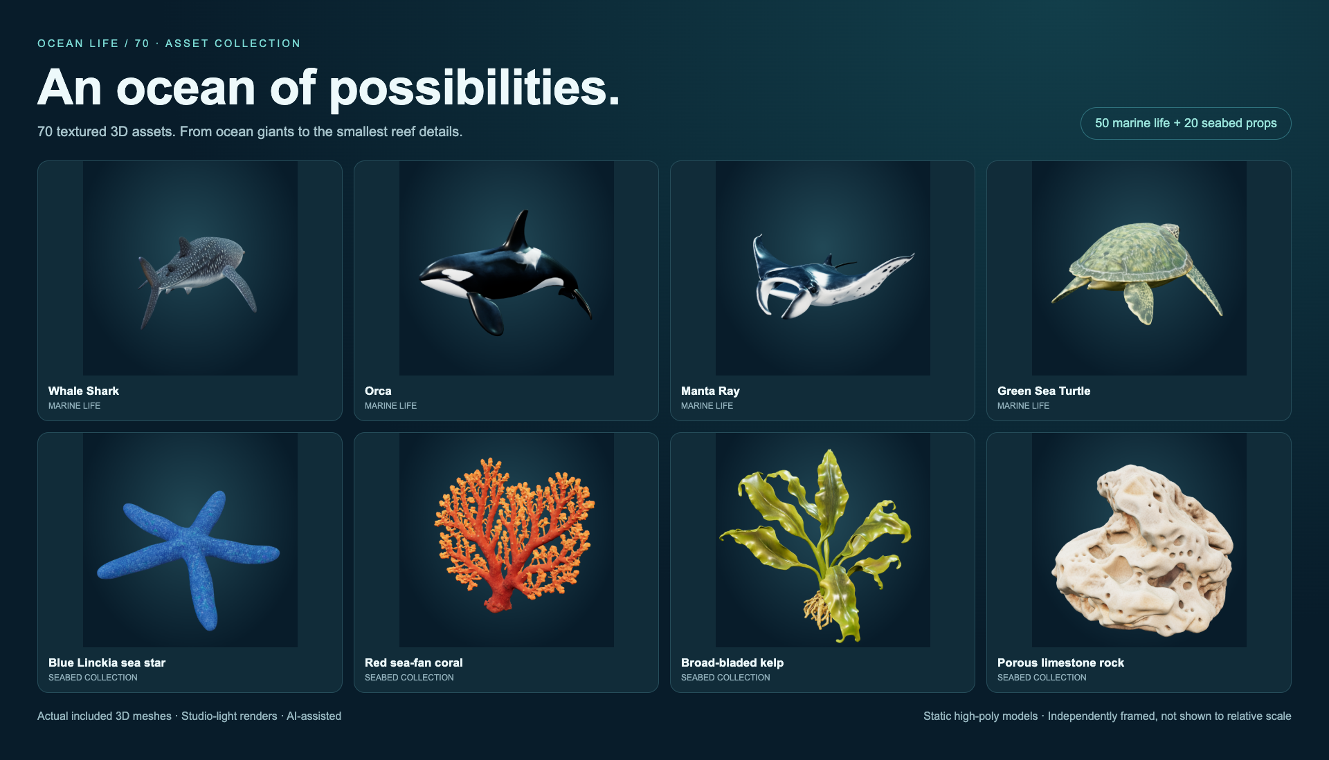 Ocean Life 70: actual mesh previews from the asset pack
